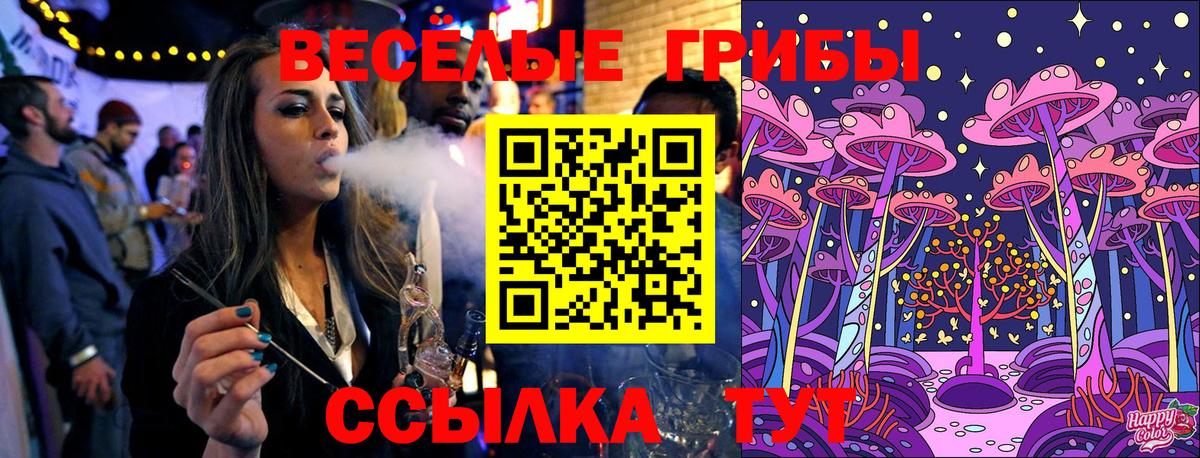 Галлюциногенные грибы GOLDEN TEACHER Абинск